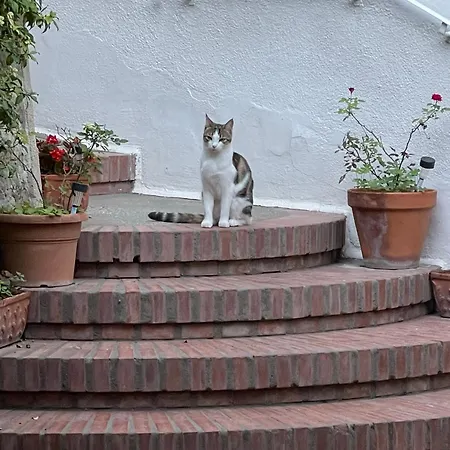 La Musa Frühstückspension *